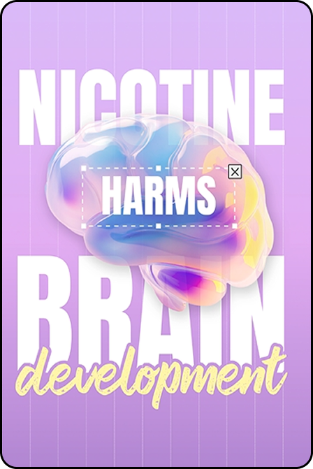 Here you can view each fact’s details, description, and related info clearly shown for easy review.