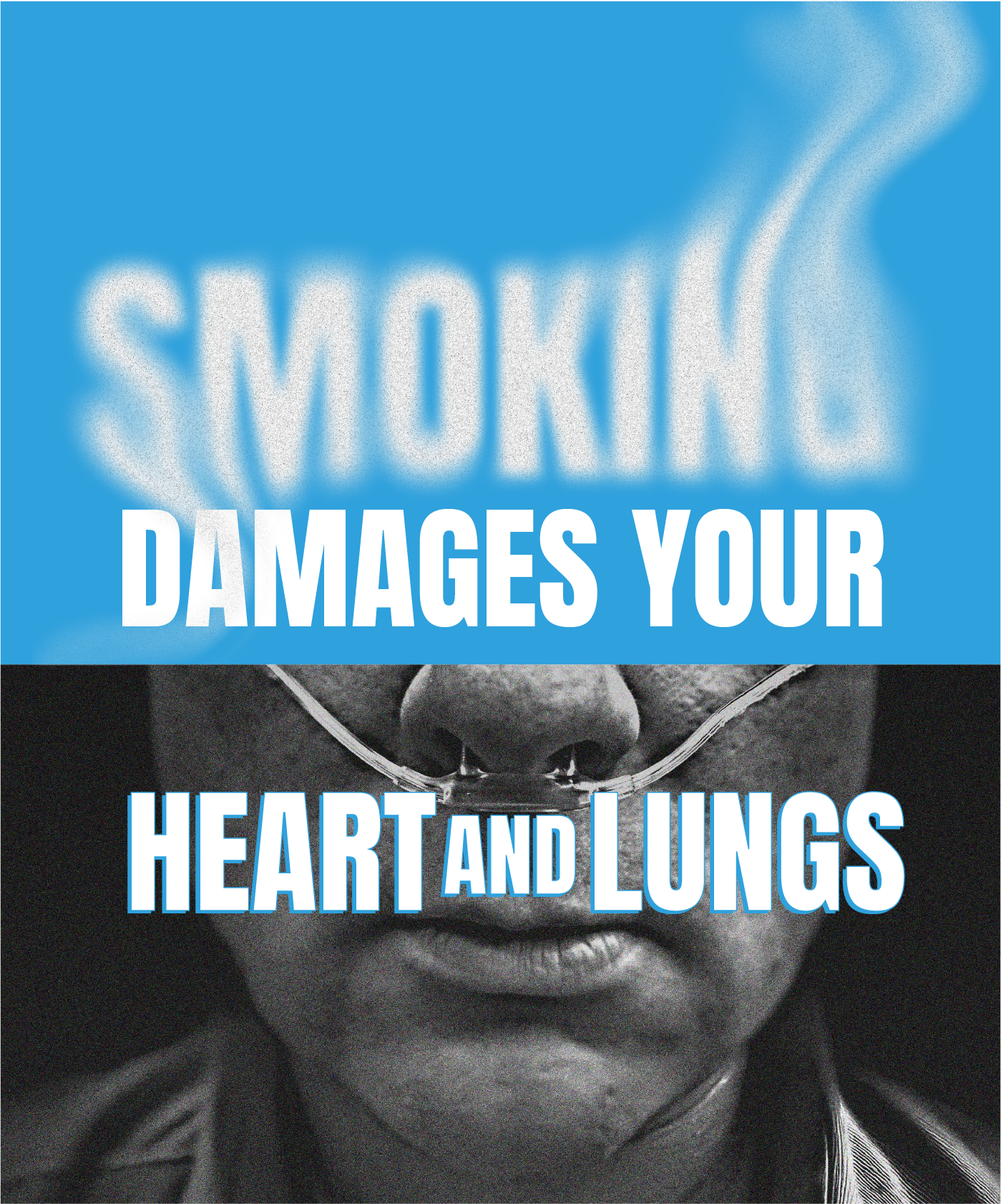 Here you can view each fact’s details, description, and related info clearly shown for easy review.